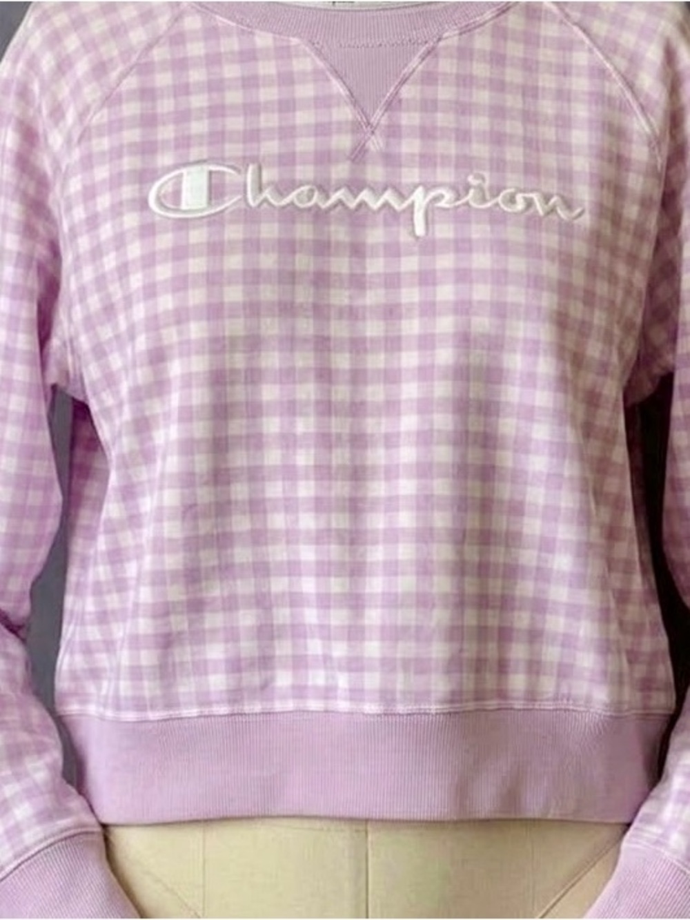 Champion Pink and White Gingham Sweatshirt. Coquette, Preppy, Athleisure